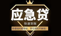 成都本地私借-成都贷款当天放款-成都私人身份证借私借