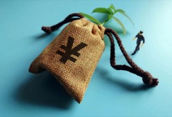 详尽指南：掌握查询花呗额度的正确方法