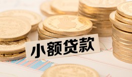 成都哪里有小额贷款-成都身份证贷款平台-成都民间短借